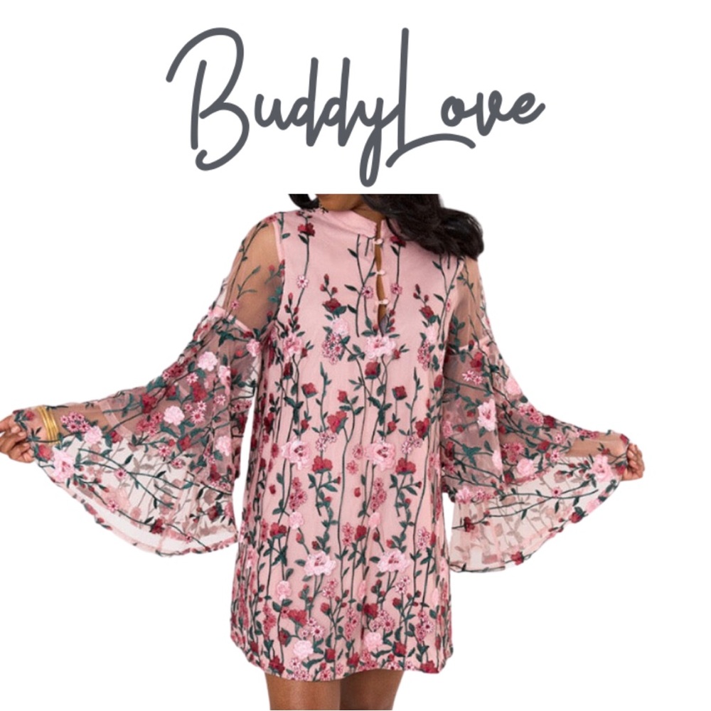 NWOT Buddy Love Gayle Encore Dress Size Large 👗🩷
